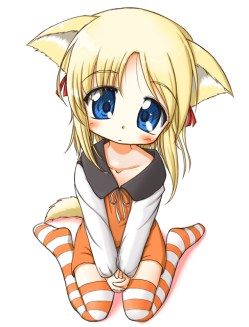 come-fare-bene-spesa-supermercato-errori-da-evitare-1