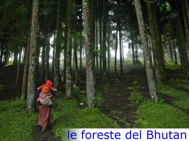 woman-child-addario_72412_990x742